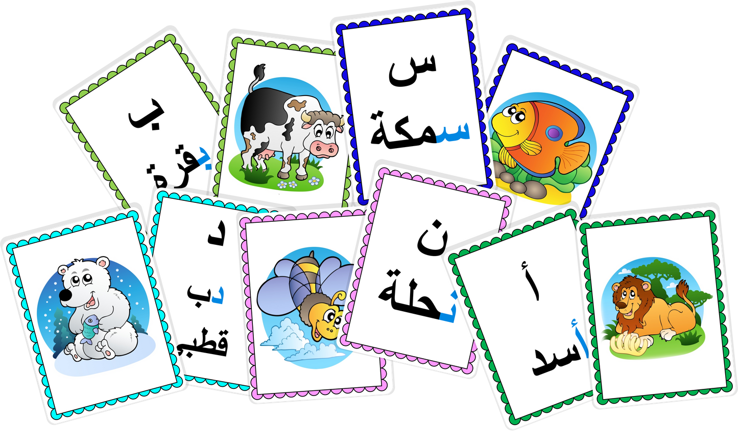 ذاكرة الحيوانات والحروف